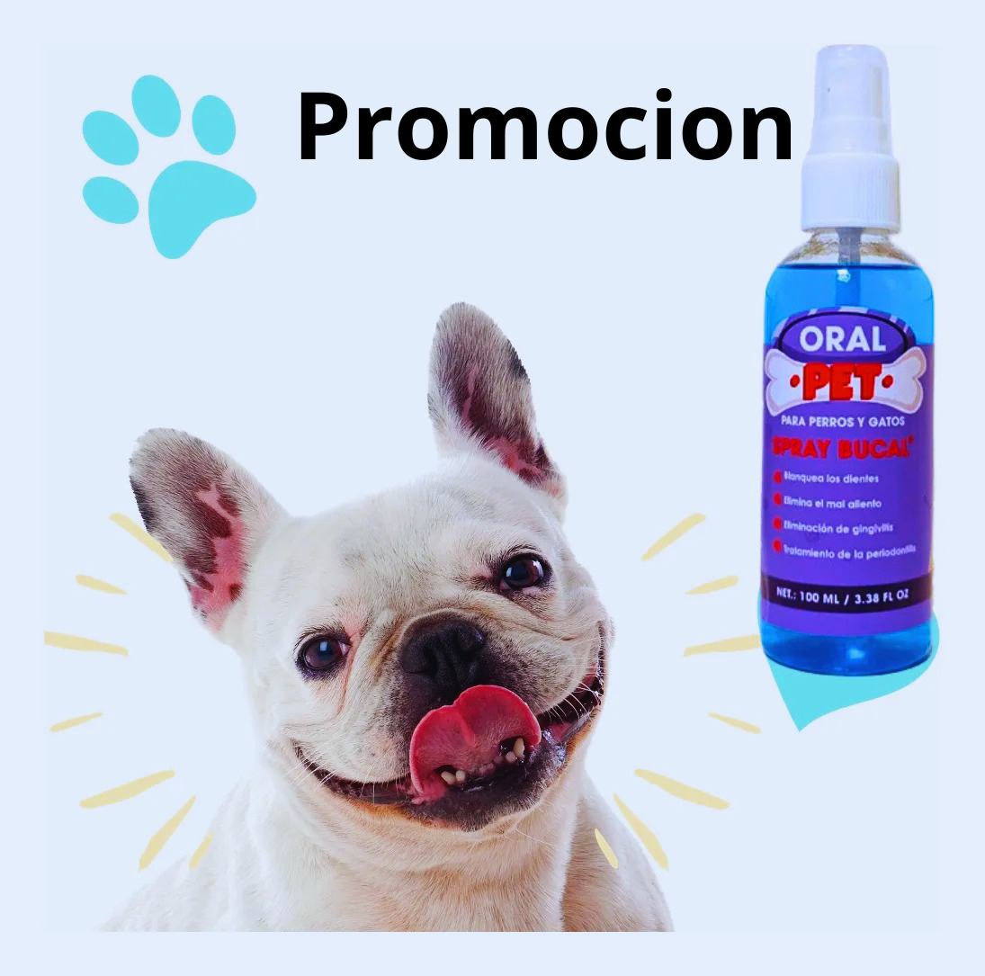 Oral Pet+Cepillo Vapor+Guante Aseo Pelos