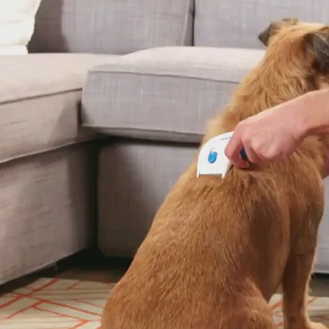 Cepillo Peine Eléctrico Mata Pulgas
